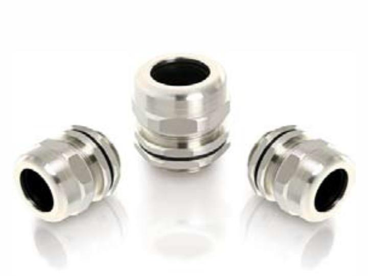 Stainless Steel Cable Glands